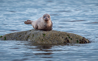 BUITEN BEELD Foto: 336460