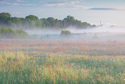 BUITEN BEELD Foto: 336481