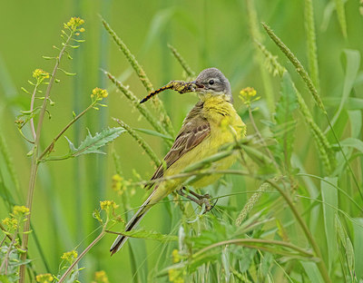BUITEN BEELD Foto: 336489