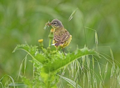 BUITEN BEELD Foto: 336523