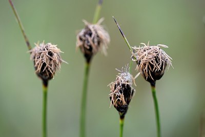 BUITEN BEELD Foto: 336583