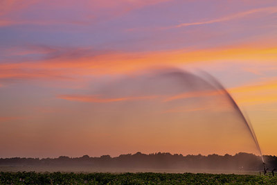 BUITEN BEELD Foto: 336641