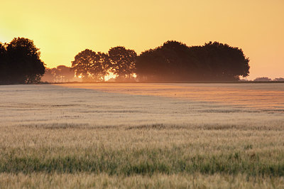 BUITEN BEELD Foto: 336721