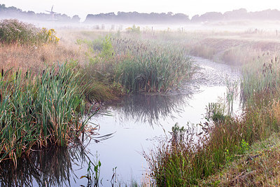 BUITEN BEELD Foto: 336722