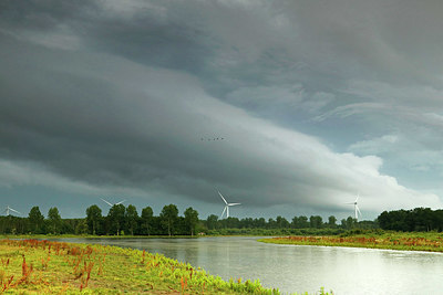 BUITEN BEELD Foto: 336753