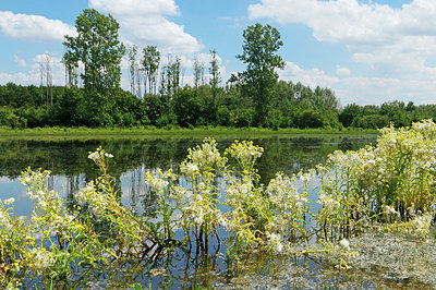 BUITEN BEELD Foto: 336764