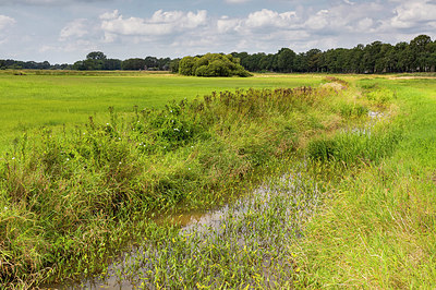 BUITEN BEELD Foto: 336821