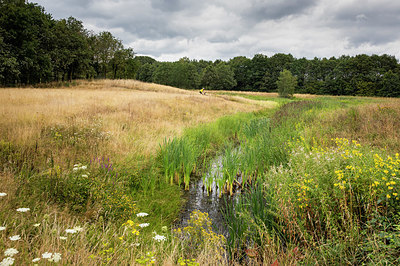 BUITEN BEELD Foto: 336837