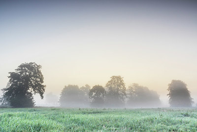 BUITEN BEELD Foto: 336848