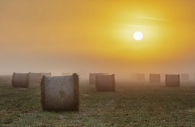 BUITEN BEELD Foto: 336851