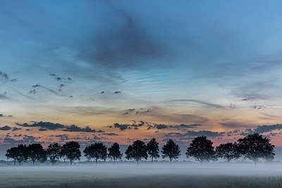 BUITEN BEELD Foto: 336854