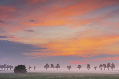 BUITEN BEELD Foto: 336856