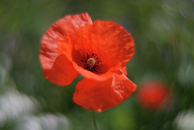 BUITEN BEELD Foto: 336875