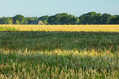BUITEN BEELD Foto: 336937