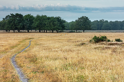 BUITEN BEELD Foto: 336949