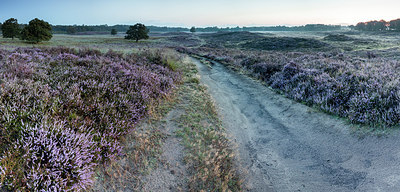BUITEN BEELD Foto: 337049