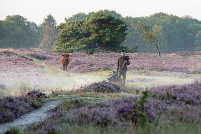 BUITEN BEELD Foto: 337060