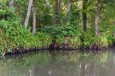 BUITEN BEELD Foto: 337063