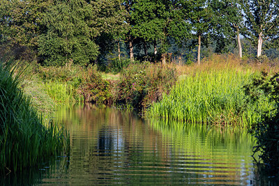 BUITEN BEELD Foto: 337064