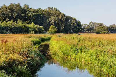 BUITEN BEELD Foto: 337065