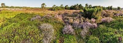 BUITEN BEELD Foto: 337080