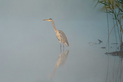 BUITEN BEELD Foto: 337175