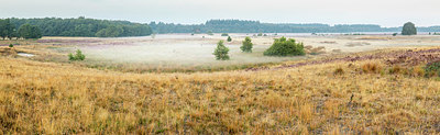 BUITEN BEELD Foto: 337186