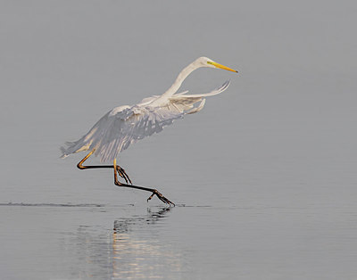 BUITEN BEELD Foto: 337345