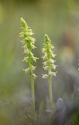 BUITEN BEELD Foto: 337362