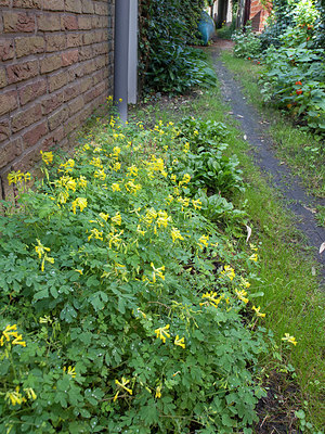 BUITEN BEELD Foto: 337527