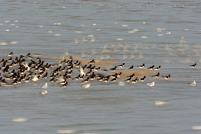 BUITEN BEELD Foto: 337609