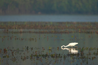 BUITEN BEELD Foto: 337662