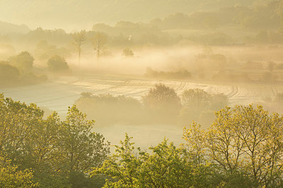 BUITEN BEELD Foto: 337679