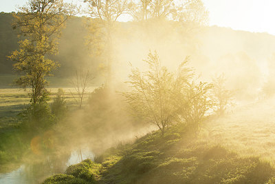 BUITEN BEELD Foto: 337681