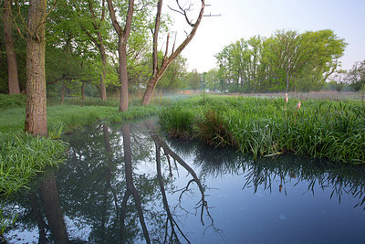 BUITEN BEELD Foto: 337703