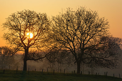 BUITEN BEELD Foto: 337710