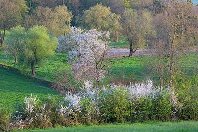 BUITEN BEELD Foto: 337711