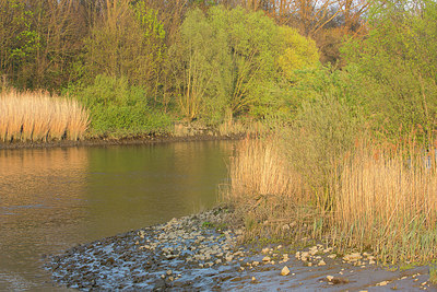 BUITEN BEELD Foto: 337727