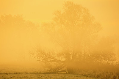 BUITEN BEELD Foto: 337813