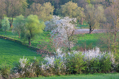 BUITEN BEELD Foto: 337835