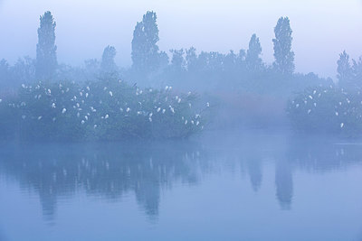 BUITEN BEELD Foto: 337859