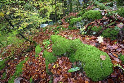 BUITEN BEELD Foto: 337902