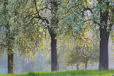 BUITEN BEELD Foto: 337904