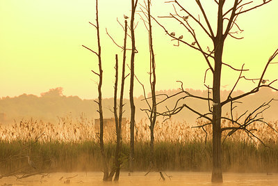BUITEN BEELD Foto: 337939