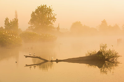 BUITEN BEELD Foto: 337971