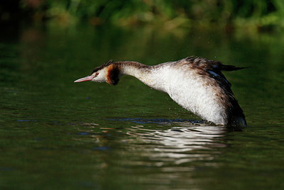BUITEN BEELD Foto: 338027