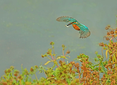 BUITEN BEELD Foto: 338072