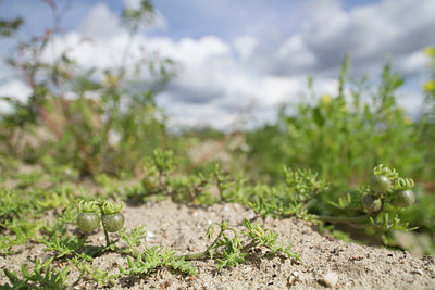 BUITEN BEELD Foto: 338077