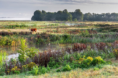 BUITEN BEELD Foto: 338127