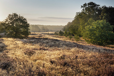 BUITEN BEELD Foto: 338156